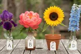 Chọn 1 bông hoa bạn thích nhất