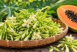 Hoa đu đủ đực không phải ai cũng nên dùng: 5 nhóm người cần đặc biệt cẩn thận
