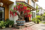 Mệnh nào trồng lộc vừng tốt nhất?