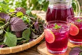 Cách nấu tía tô cho nước màu đẹp mắt, thơm ngon: Chỉ thêm 1 bước, nước không bị đục