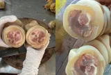 Vó bò là bộ phận nào của con bó?