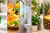5 mẹo khử mùi hôi nhà vệ sinh nhanh, nguyên liệu quen thuộc nhưng hiệu quả bất ngờ