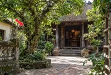 2 tuổi hợp trồng cây Sung trước cửa