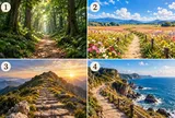 Chọn 1 con đường bạn muốn đi qua nhất