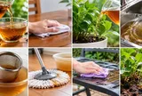 Nước trà để qua đêm đừng vội đổ đi: 7 cách tận dụng đơn giản, công dụng bất ngờ