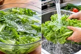Vì sao nhiều người bỏ ngâm rau nước muối?