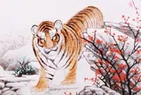 Sau tháng 9, 4 con giáp ngày càng khỏe mạnh, sắc mặt ngày càng rạng rỡ