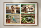 Chọn 1 con vật bạn muốn nuôi nhất sẽ nói trước điều bạn khát khao nhất