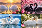 Chọn 1 hình ảnh đôi thiên nga bạn ấn tượng, xem bạn ngọt ngào thế nào trong hôn nhân