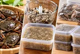 Cách để cua đồng lâu hỏng, không thâm đen: 6 mẹo bảo quản nhiều người chưa biết