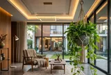Cách trồng cây trầu bà lá xanh tốt quanh năm, dài tới hàng mét