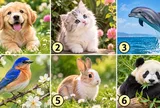 Chọn 1 con vật khiến bạn thích thú để xem bạn thu hút vận may nhờ điểm nào