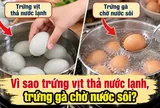 Tại sao luộc trứng vịt thả nước lạnh, luộc trứng gà phải chờ nước sôi?