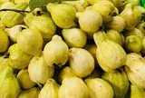 Loại quả tốt trên thế giới, Việt Nam trồng bạt ngàn thành đặc sản có giá 60.000 đ/kg, thu hoạch nhiều năm