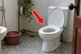 Có nên đậy nắp bồn cầu sau khi đi vệ sinh?