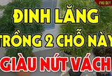 Cây đinh lăng trấn giữ của cải đừng trồng linh tinh: 3 vị trí hút tài lộc tiền về như nước