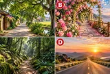 Hãy chọn 1 con đường bạn muốn đi qua