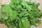 Đặc sản có tên "ngượng đỏ mặt", xưa mọc bờ rào nay được ưa chuộng giá 40.000 đ/kg, trồng một lần thu hoạch nhiều năm