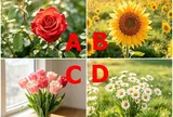 Trắc nghiệm: Chọn 1 bông hoa, bóc trần mức độ đáng tin của người ấy, xem bạn có đang chọn đúng người