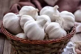 Vì sao nên đặt tỏi trong khu vực nhà bếp?