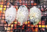 Loài cá có tên của một loại trái cây, xưa không ai ăn nay thành đặc sản 350.000 đ/kg, du khách thích mê