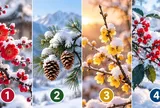 Chọn 1 cành cây mùa đông bạn chú ý nhất