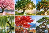  Chọn 1 hình ảnh cái cây, xem tâm trạng hiện tại của bạn đang thế nào