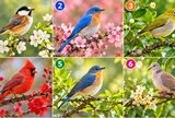 Chọn 1 con chim đậu trên cây: Động lực nào đang giúp bạn làm giàu?