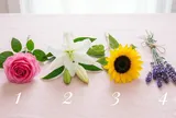 Chọn một trong 4 bông hoa bạn thích nhất: Khám phá điều bạn đang cần nhất trong cuộc sống