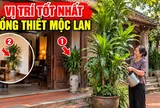 2 vị trí đặt cây Thiết Mộc Lan xoá tan nghèo khổ
