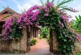 4 loại cây nên trồng trước nhà: vừa làm đẹp không gian, vừa mang ý nghĩa may mắn