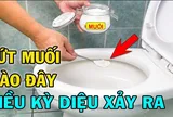 Vì sao nên bỏ chút muối vào bồn cầu