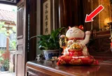 4 vị trí đặt mèo thần tài gọi Tiền về không ngớt