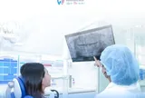 Đẹp mà an toàn: Những điều cần biết khi lựa chọn làm răng sứ thẩm mỹ