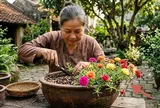 Mẹo trồng hoa mười giờ xanh mập, hoa bung nở quanh năm