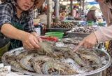 Mua tôm chọn con cong hay thẳng là ngon nhất?