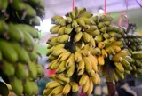 10 loại rau củ quả nổi tiếng ở Ninh Bình, du khách thích mê tìm mua về làm quà, giá từ 25.000 đồng/kg