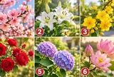 Chọn 1 cành hoa bạn ấn tượng nhất, điều mới mẻ nào sắp mở ra trong cuộc sống?