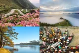 7 điểm đến dọc miền đất nước không thể qua trong tháng 10, check-in với bức tranh thiên nhiên rực rỡ sắc màu 