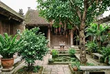 3 loại cây trồng trước cửa nhà dễ phất, 1 loại cần nhổ bỏ ngay