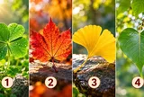 Chọn 1 chiếc lá bạn ấn tượng nhất để xem điều gì đang giúp bạn giàu có thêm