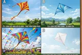 Hãy chọn 1 cánh diều mà bạn thích nhất?