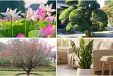 Bốc chọn 1 loài cây bạn ấn tượng nhất