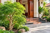  Trồng cây đinh lăng ở vị trí này: Sinh khí vào nhà vừa là cây cảnh phong thủy vừa dùng được hàng ngày