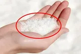 Thả chút muối vào bồn cầu mẹo hay ai cũng nên biết