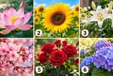 Chọn 1 bông hoa bạn ấn tượng nhất để xem điều gì tạo ra điểm mạnh của bạn