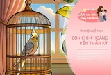 Truyện cổ tích: Chim hoàng yến thần kỳ