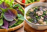 Tía tô ăn sống hay nấu chín tốt hơn?