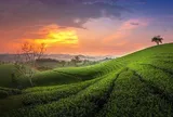 11 địa điểm “đẹp tựa tiên cảnh” ở Thái Nguyên mà bạn không nên bỏ qua, từ núi đồi đến hồ thác, thỏa sức check-in