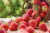 10 loại đặc sản ở Đà Lạt, du khách thích mê mua về làm quà sau mỗi chuyến đi, giá chỉ từ 45.000 đồng/phần